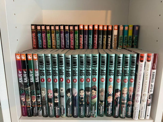 Réhausseur de livres pour bibliothèque Billy